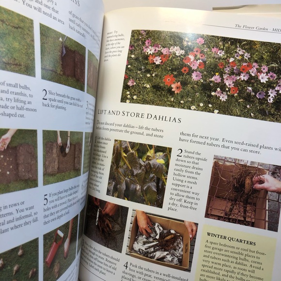 The Practical Gardening Encyclopedia By McHoy, Peter Peter McHoy Hardcover 250pg - Picture 11 of 14